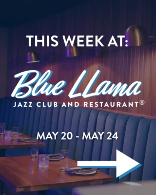 blue llama jazz club dress code Malibu Dress / Sand and Sea Ikat Sand and Sea Ikat / M